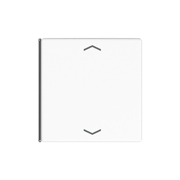 JUNG Taste 4-fach aws Symbol Auf/Ab LS 404 TSAP WW 14